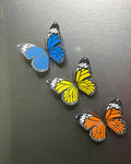 Butterfly Fridge Magnet